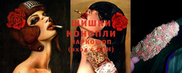 гидра Михайловка