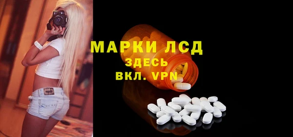 гидра Михайловка