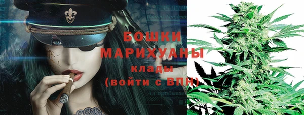 гидра Михайловка