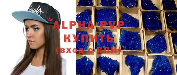 гидра Михайловка