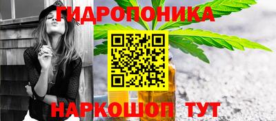 мдпв Гай
