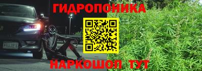 мдпв Гай