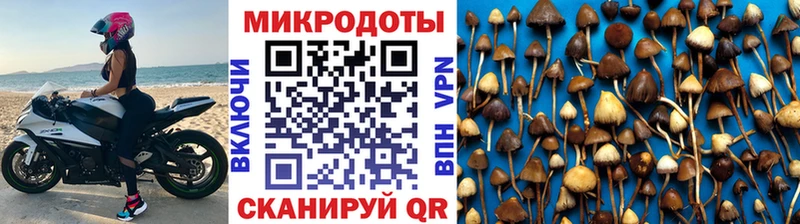 Галлюциногенные грибы Magic Shrooms  Рубцовск 