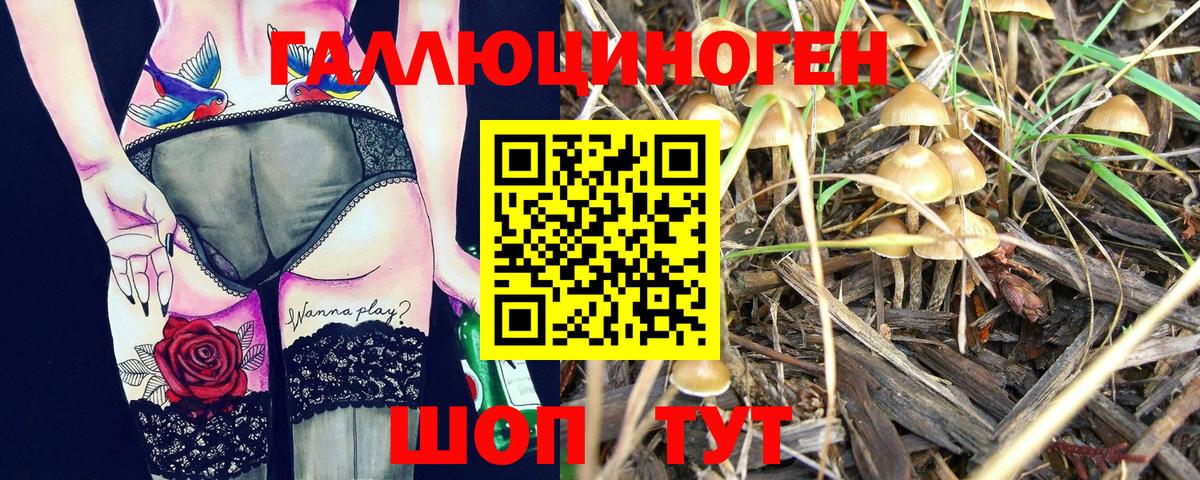 Псилоцибиновые грибы Cubensis Рубцовск