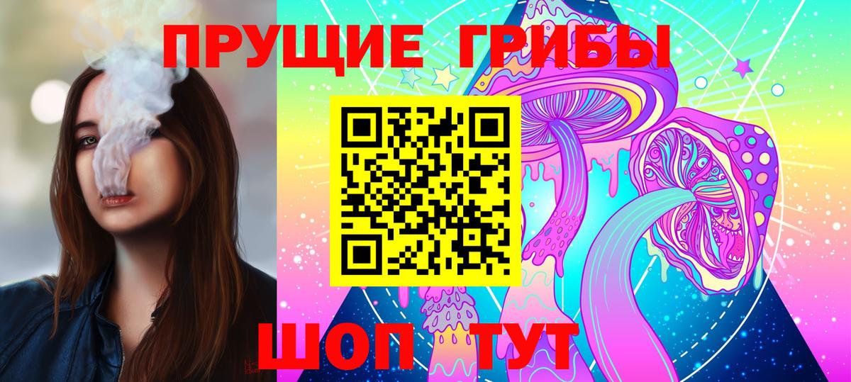 Псилоцибиновые грибы Cubensis Рубцовск