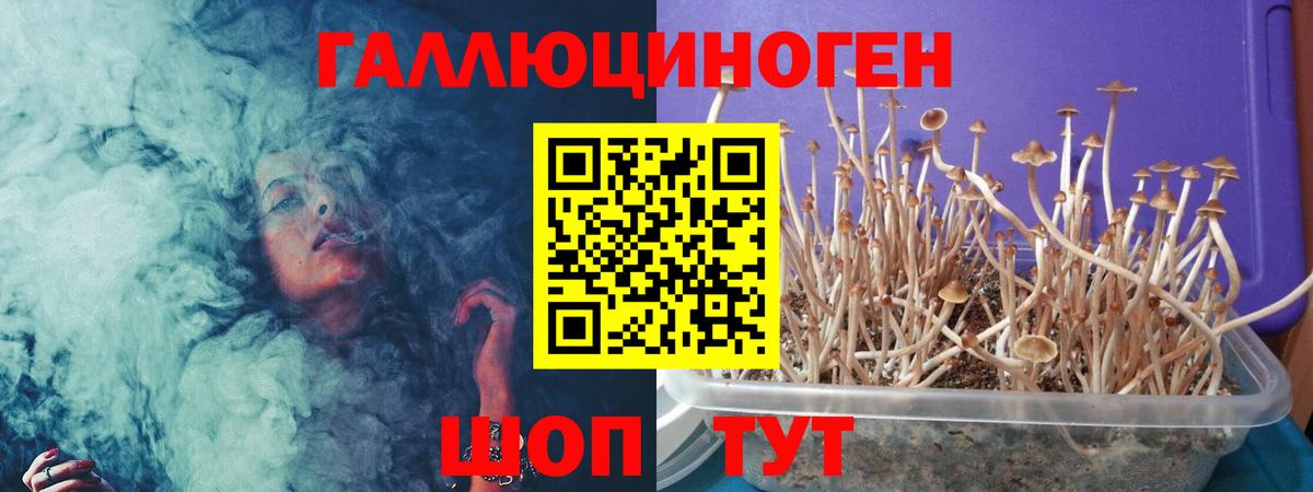 Галлюциногенные грибы Psilocybine cubensis  Галлюциногенные грибы мухоморы  Рубцовск  Вход с VPN 